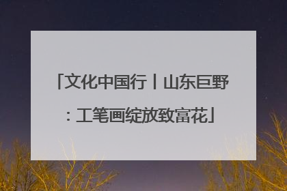 文化中国行丨山东巨野：工笔画绽放致富花